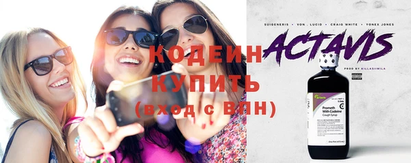 apvp Каменка