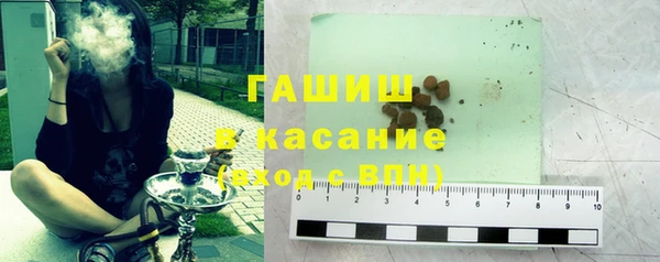 apvp Каменка