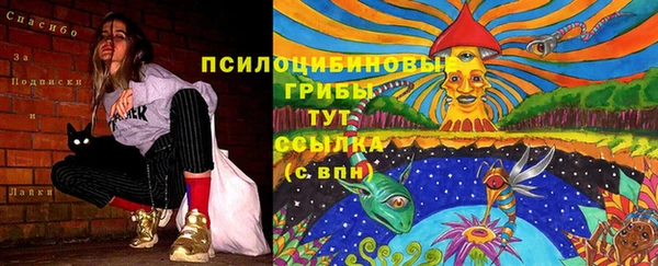 альфа пвп Каменногорск
