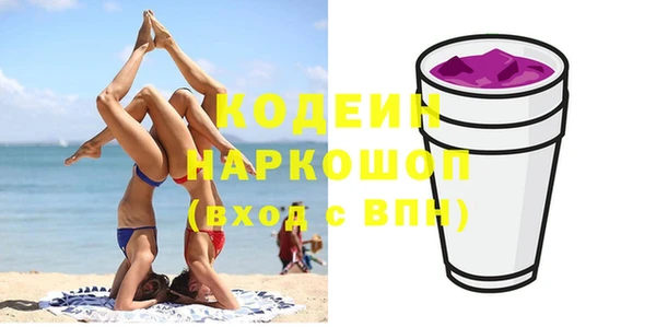 apvp Каменка