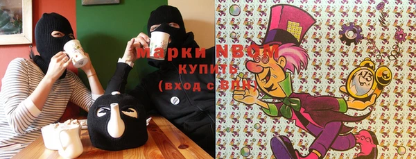 apvp Каменка