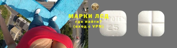 apvp Каменка