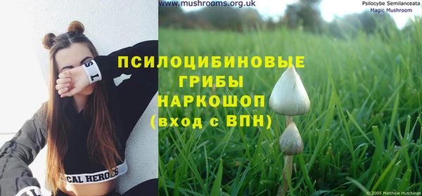 прущий лед Каменск-Шахтинский