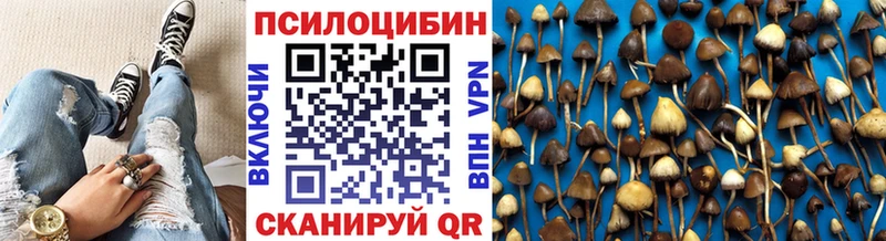 Псилоцибиновые грибы Psilocybe  Юрюзань 
